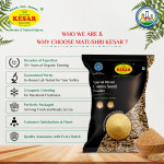 Jeera Powder