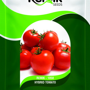 tomato seeds
