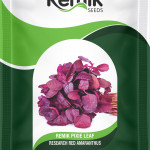 pixie leaf seeds