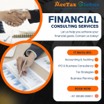 Financial Consultancy