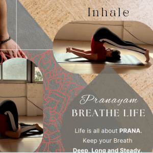 Yoga & fitness