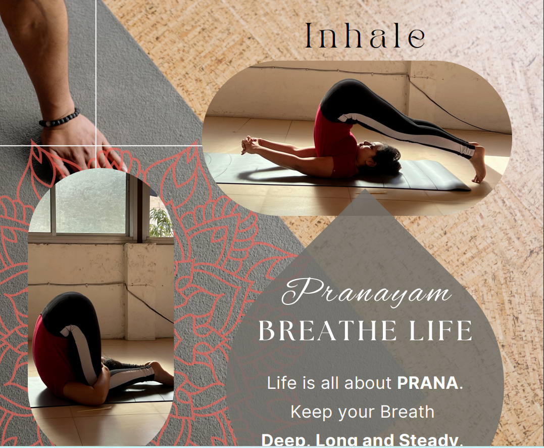 Yoga & fitness