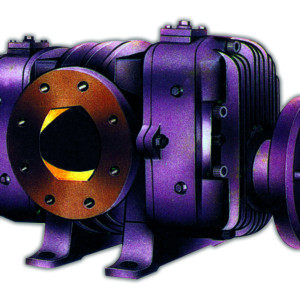 Twin Lobe Compressors