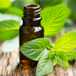 Mfg. of & Exporter Essential Oils, Seeds, Aroma Chemical & Oil