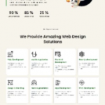 Web Devloper