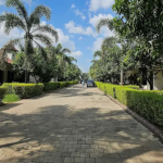 Resort & Townships