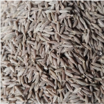 Agriculture Products