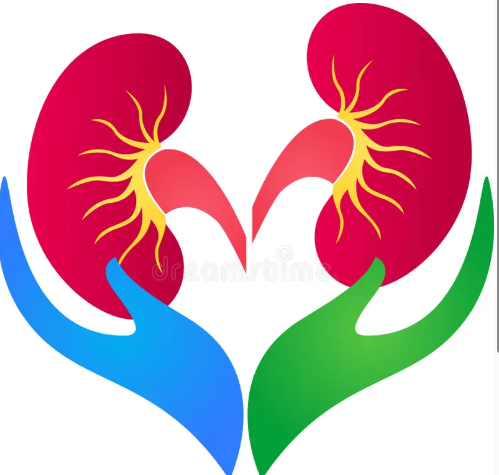 Kidney Hospital