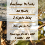 Travel Agency