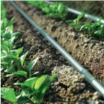 Irrigation System