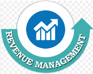 Revenue consultant