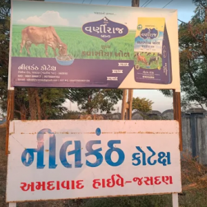 Cotton Seed Meals