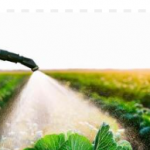 Fertilizers, Agri medicine, Seeds