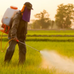 Fertilizers, Agri medicine, Seeds
