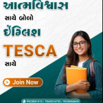 Visa Consultant