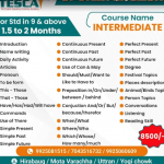 Visa Consultant