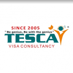 Visa Consultant