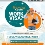 Visa Consultant