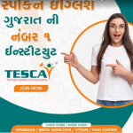 Visa Consultant