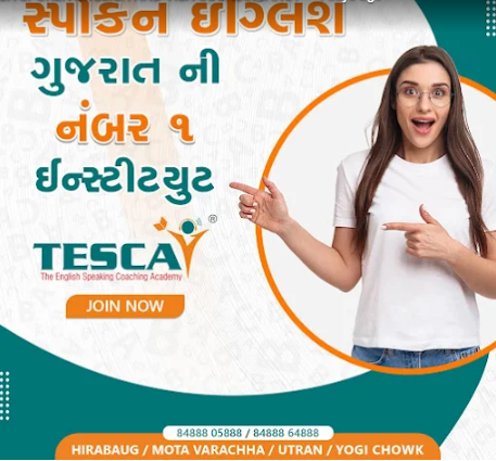 Visa Consultant