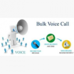 Database services, Bulk whatsup massages, Bulk voice call services, Bulk sms services