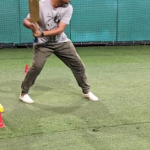 Cricket box