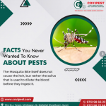 Pest control services