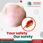 Pest control services