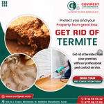 Pest control services