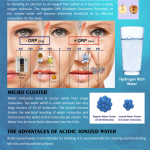 Alkaline Water Ionizers and Water Softeners