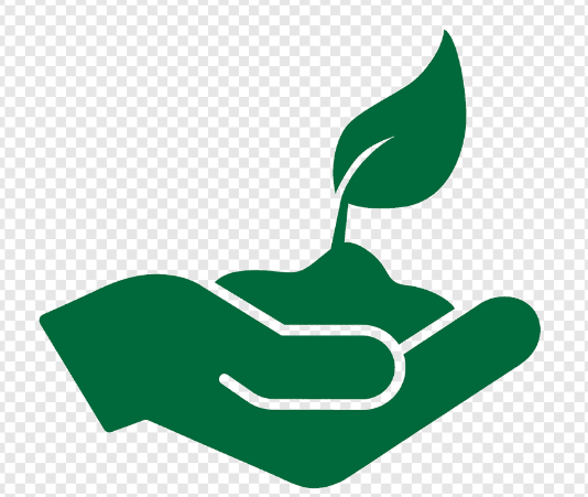 Organic Manure