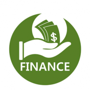 Finance adviser