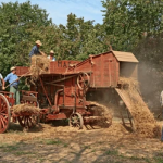 Agriculture fertilizer and crops Technology.