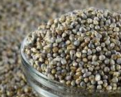 basmati rice, organic wheat, organic millet & wheat