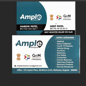 consultant services