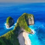 Tours & Travels