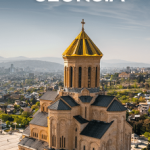 Tours & Travels