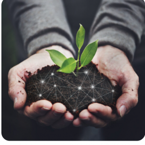 Fertilizer Industry