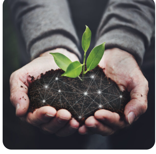 Fertilizer Industry