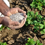 Agri land Biotech