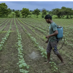 Agri land Biotech
