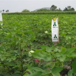 Agri land Biotech