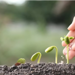 Agri land Biotech
