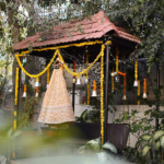 Photography & videography