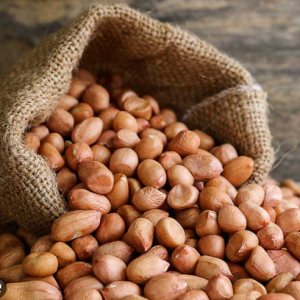 Farming of Groundnut