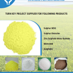 Processing Equipment