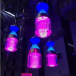 Wall Light, Hanging Chandelier