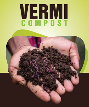 Vermicompost