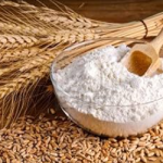 Agricultural Products