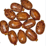 Farming of Cotton,Castor Seed,Urad,wheat, soyabean.